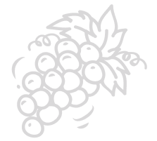 Decorative grapes vector